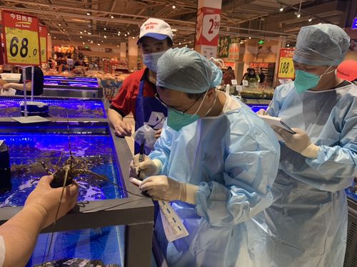 浙江首批菜場三文魚樣品檢測結果出爐 零售食用農產品安全狀況引關注